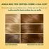 549932---Tintura-Soft-Color-Avela-73-5