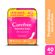 544329---Protetor-Diario-Carefree-Todo-Dia-Flexi-sem-Perfume-40-Unidades-2.jpg