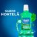 163813---Antisseptico-Bucal-Oral-B-Bucal-Complete-Hortela-500ml-2.jpg