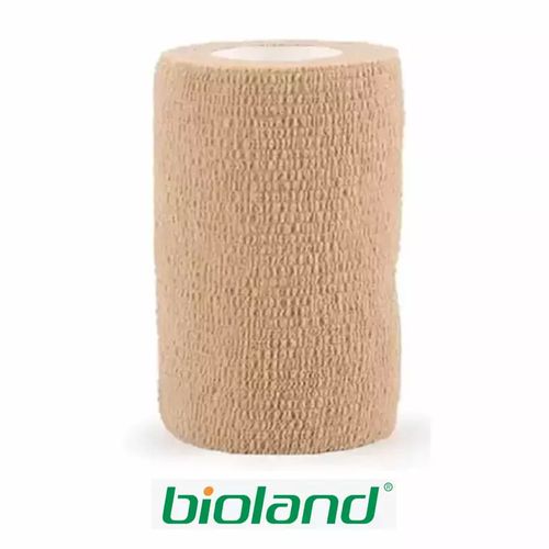 image-9dace3af0646424dae11e4d8802b1e80 image-9dace3af0646424dae11e4d8802b1e80