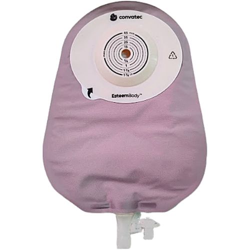 image-6750db15713347c881649b3415284b68 image-6750db15713347c881649b3415284b68