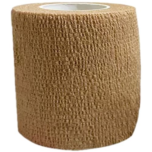 image-cfa543cb881444e8b5f55fd8a5d53463 image-cfa543cb881444e8b5f55fd8a5d53463