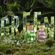 image-41ccbff55ac5463092157c2ccf89838d