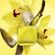 image-3ea8a90ff0104f4c880ef3caeaa2f58d