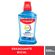 630403---Enxaguante-Bucal-Colgate-Total-12-Clean-Mint-500ml-2.jpg