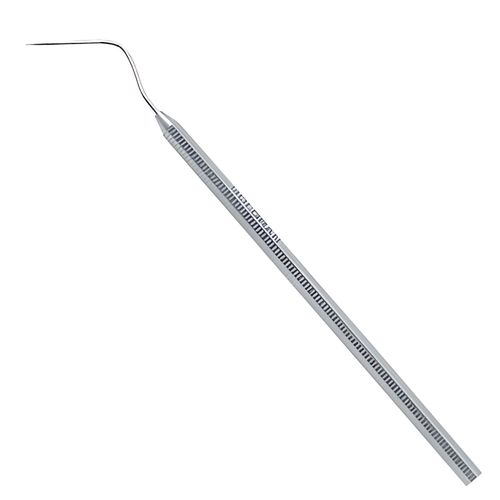 Sonda de Rhein para Localização da Entrada do Canal Golgran 3