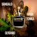 image-f03a95b2bd37440da2449281c228bf36