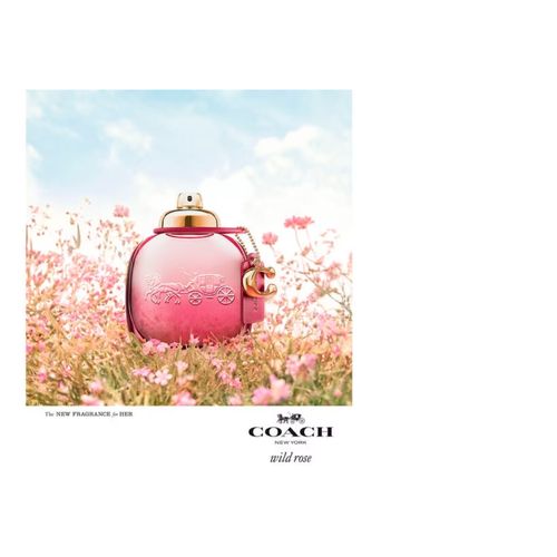 Wild Rose Coach – Perfume Feminino – Eau de Parfum - 50ml - Original - Selo Adipec e Nota Fiscal
