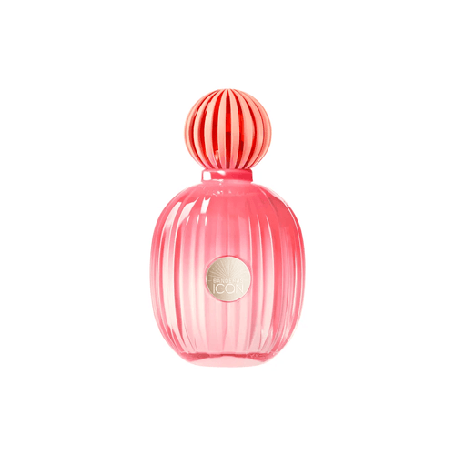 THE ICON SPLENDID EDP 100ML