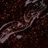 886084---esmalte-Risque-Chilli-Beans-A-Onca-Que-Habita-em-Mim-8ml-6