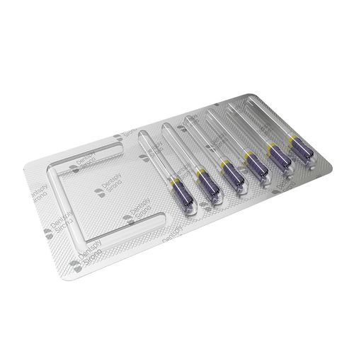 Lima Endodôntica Hedstroem File 25mm ReadySteel Dentsply 10