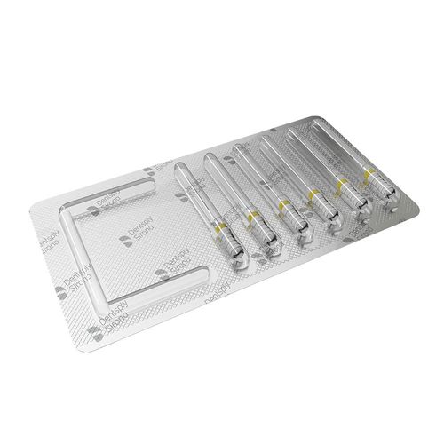 Lima Endodôntica Hedstroem File 21mm ReadySteel Dentsply 15