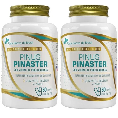 KIT 02 PINUS PINASTER 60CPS FLORA NATIVA