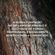 image-40a318ea0cf64e94a6bb65c65d191286