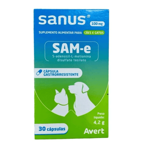 image-cdd8927087014be1bd12b7c677e7410d image-cdd8927087014be1bd12b7c677e7410d