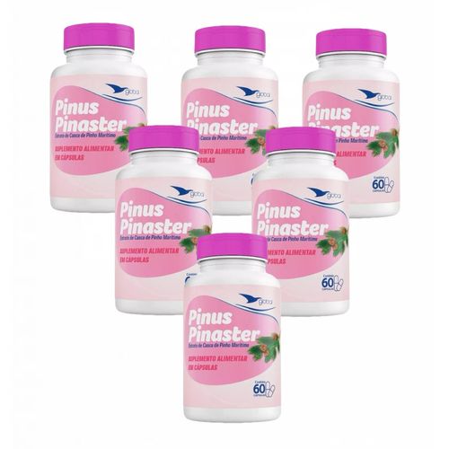 6x Pinus Pinaster - 60 Cápsulas- Global Suplementos Sem Sabor