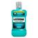 22667---Antisseptico-Bucal-Listerine-Cool-Mint-500ml-1