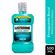 22667---Antisseptico-Bucal-Listerine-Cool-Mint-500ml-2