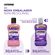 211451---antisseptico-bucal-listerine-cuidado-total-500ml-4