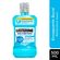 663646---enxaguante-bucal-listerine-tartaro-control-zero-alcool-500ml-johnson-saude-2 663646---enxaguante-bucal-listerine-tartaro-control-zero-alcool-500ml-johnson-saude-2