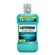 781479---Enxaguante-Bucal-Listerine-Cool-Mint-Refrescancia-Intensa-1L-1