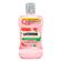 826650---Enxaguante-Bucal-Antisseptico-Listerine-Melancia-Hortela-Zero-Alcool-500ml-1 826650---Enxaguante-Bucal-Antisseptico-Listerine-Melancia-Hortela-Zero-Alcool-500ml-1