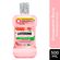 826650---Enxaguante-Bucal-Antisseptico-Listerine-Melancia-Hortela-Zero-Alcool-500ml-2