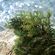 image-f7e6178d9da44fd88acb8a0534946378