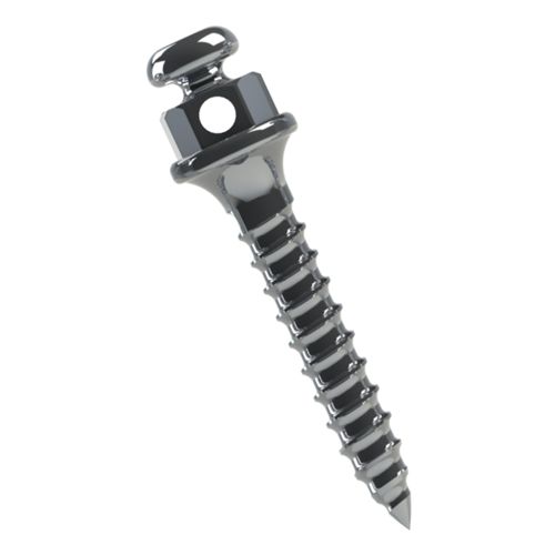 Miniparafuso Ortodôntico Titânio Transm.:1mm Ø1.5mm Morelli 8mm