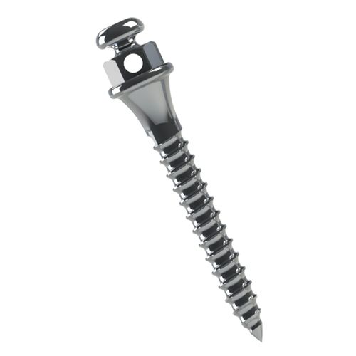 Miniparafuso Ortodôntico Titânio Transm.:2mm Ø1.5mm Morelli 10mm