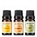883387---Kit-Oleos-Essenciais-Ever-You-Trio-Blends-Stress-Muscular-Foco-10ml-Cada-2
