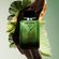 image-14cf2ccc993a4d959907fabe55858e4c