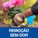 799149---Curativo-3M-Nextcare-Duo-Tamanhos-Diferentes-10-Unidades-5
