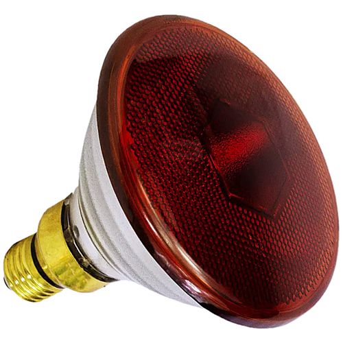 Lâmpada Infravermelho Infralight REDLAMP 150W 110V - unidade Lâmpada Infravermelho Infralight REDLAMP 150W 110V - unidade