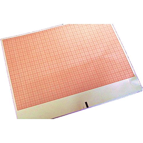 Papel para ECG Sanfonado Tecnoprint 216X280X100 - unidade Papel para ECG Sanfonado Tecnoprint 216X280X100 - unidade