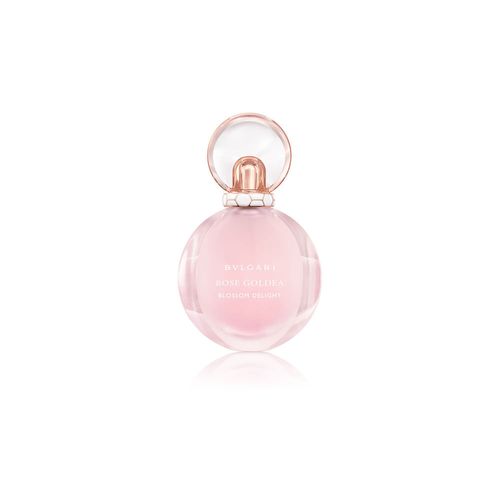 image-0dcc8c85a7594ff282e35a8da5e254c9 image-0dcc8c85a7594ff282e35a8da5e254c9