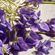 image-990315569cf6494ea18adf4da794a52e