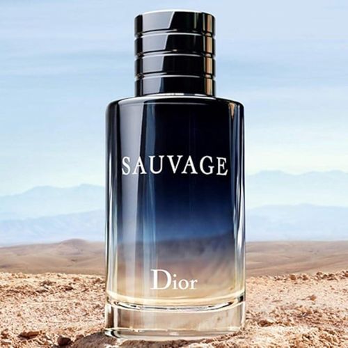 Perfume Dior Sauvage Masculino Eau de Toilette 100ml