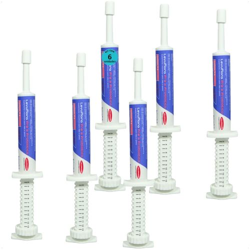LEVUFLORA PRÉ E PROBIÓTICO 14G PARA CÃES E GATOS SABOR CARNE KIT COM 6