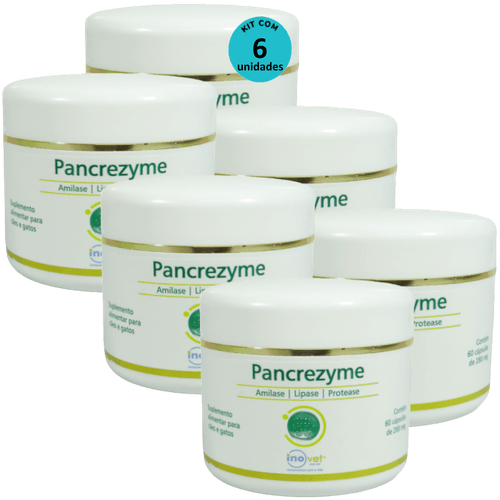 Pancrezyme 60 Cápsulas 280mg Para Cães e Gatos Inovet Kit Com 6