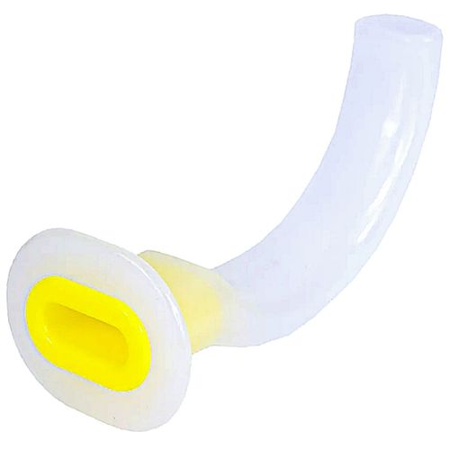 image-eab44f4dba754a5ca27415562a3f729c image-eab44f4dba754a5ca27415562a3f729c