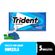 25240---trident-hortela-2