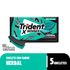 479870---goma-de-mascar-trident-fresh-herbal-8g-2