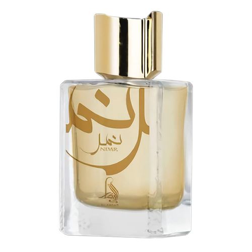 Al Absar Nimr Eau de Parfum - Perfume Masculino 100ml 100ml Al Absar Nimr Eau de Parfum - Perfume Masculino 100ml 100ml