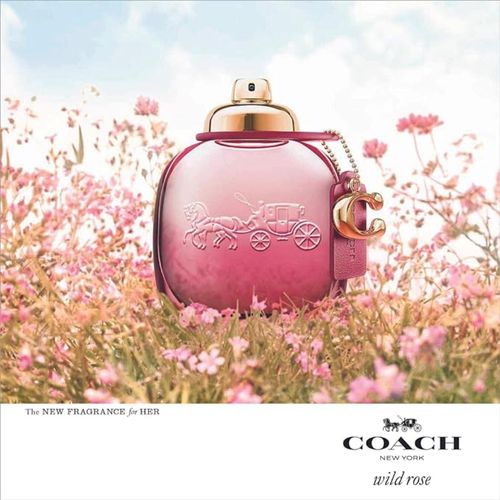 Perfume Wild Rose Coach – Perfume Feminino – Eau de Parfum - 30ml