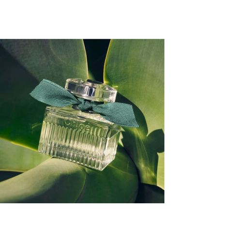 Perfume Rose Naturelle Intense Chloe - Perfume Feminino - Eau de Parfum - 50ml