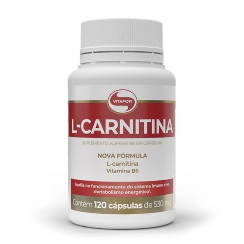 L-Carnitina 530mg (120 caps) - Padrão: Único L-Carnitina 530mg (120 caps) - Padrão: Único