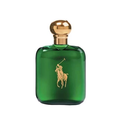 Polo Ralph Lauren Verde Perfume Masculino Eau de Toilette 125ml Importado 125ml Incolor