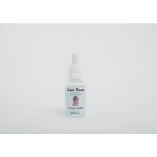 Super escudo Maria Margarida