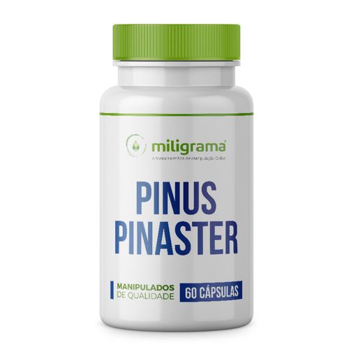 Pinus Pinaster 150mg 60 Cápsulas Sem Sabor/Aroma 60 Cápsulas Branca/Transparente